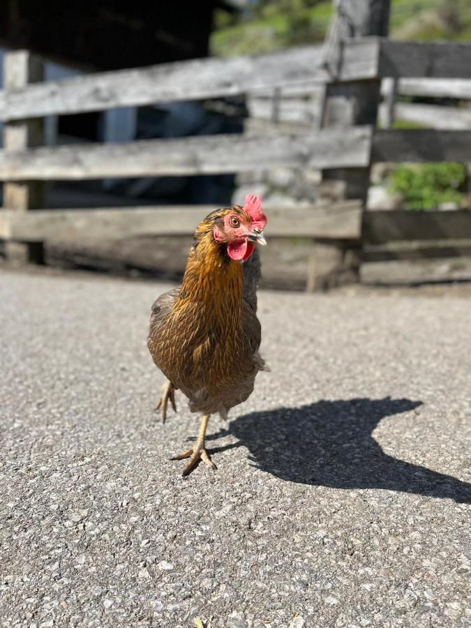 Floitensberg Obergersbachヴィラ エクステリア 写真